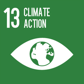 13 Climate action 