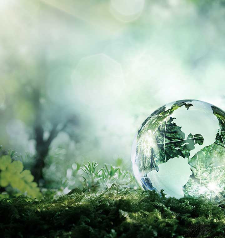 Sustainability