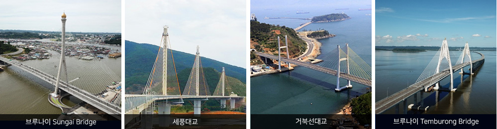 여러 Bridge 전경사진